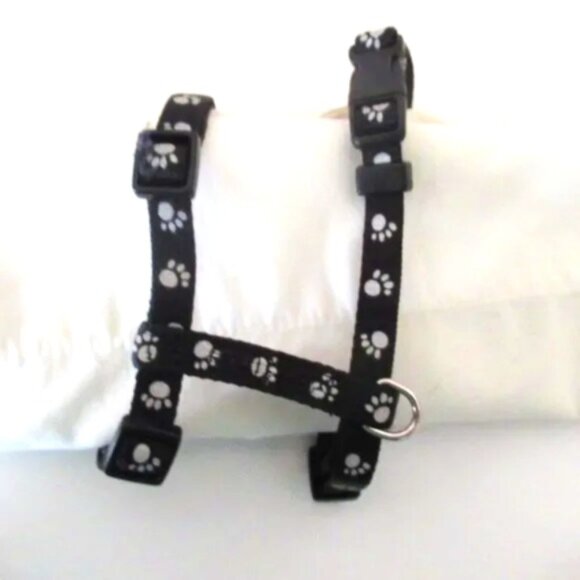 cat harness + long leash - Picture 2 of 3